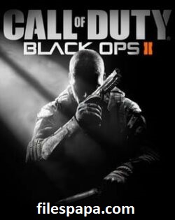 Call OF Duty Black Ops Crack
